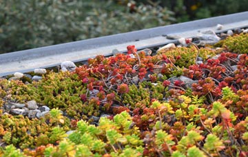 the cost of Burscott green roof installation
